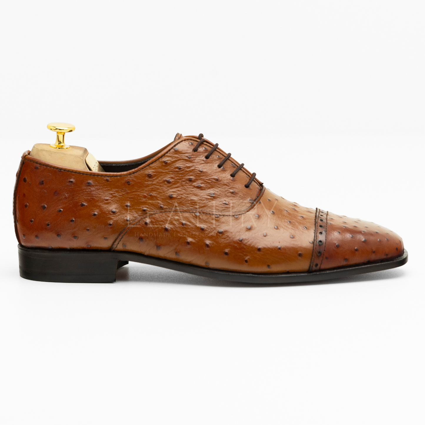 The Quinn | Ostrich Dress Oxford Shoes