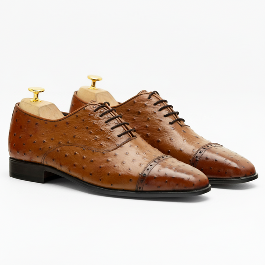 The Quinn | Ostrich Dress Oxford Shoes